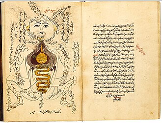 Portrait de Zayn al-Din Gorgani