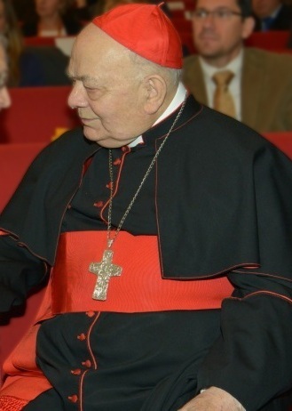 Portrait de Elio Sgreccia