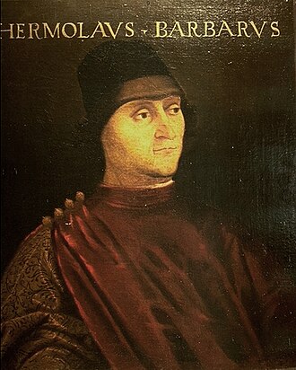 Portrait de Hermolao Barbaro