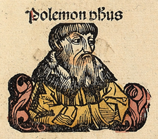 Portrait de Polémon d'Athènes