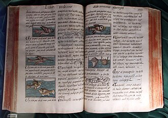 Codex de Florence — page de titre