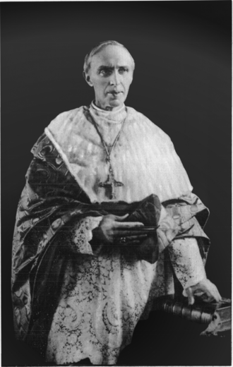 Portrait de Désiré Mercier